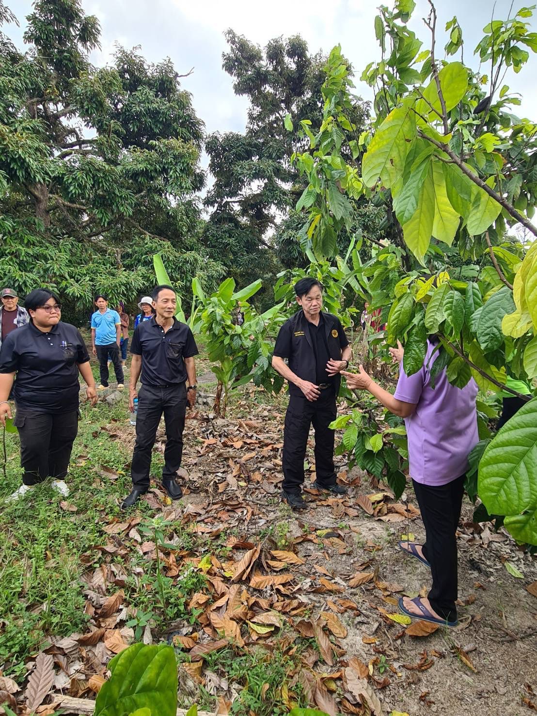 title - ผู้ตรวจราชการกรม ประชุมติดตามผลการดำเนินงานตามแผนการตรวจราชการของ ส.ป.ก. ประจำปีงบประมาณ พ.ศ. 2569 รอบที่ 1 จังหวัดประจวบคีรีขันธ์